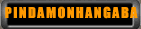 PINDAMONHANGABA