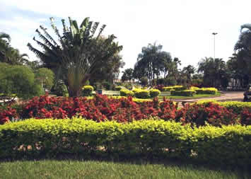Vista de Nhandeara