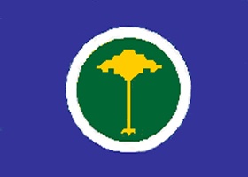 Bandeira de {{CIDADE}}