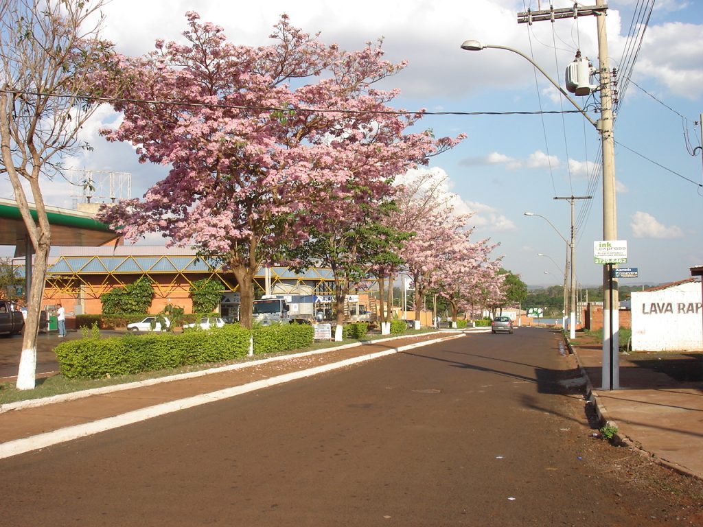 Paisagem de Ituverava 4