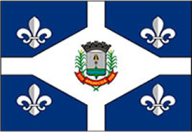 Bandeira de Aparecida