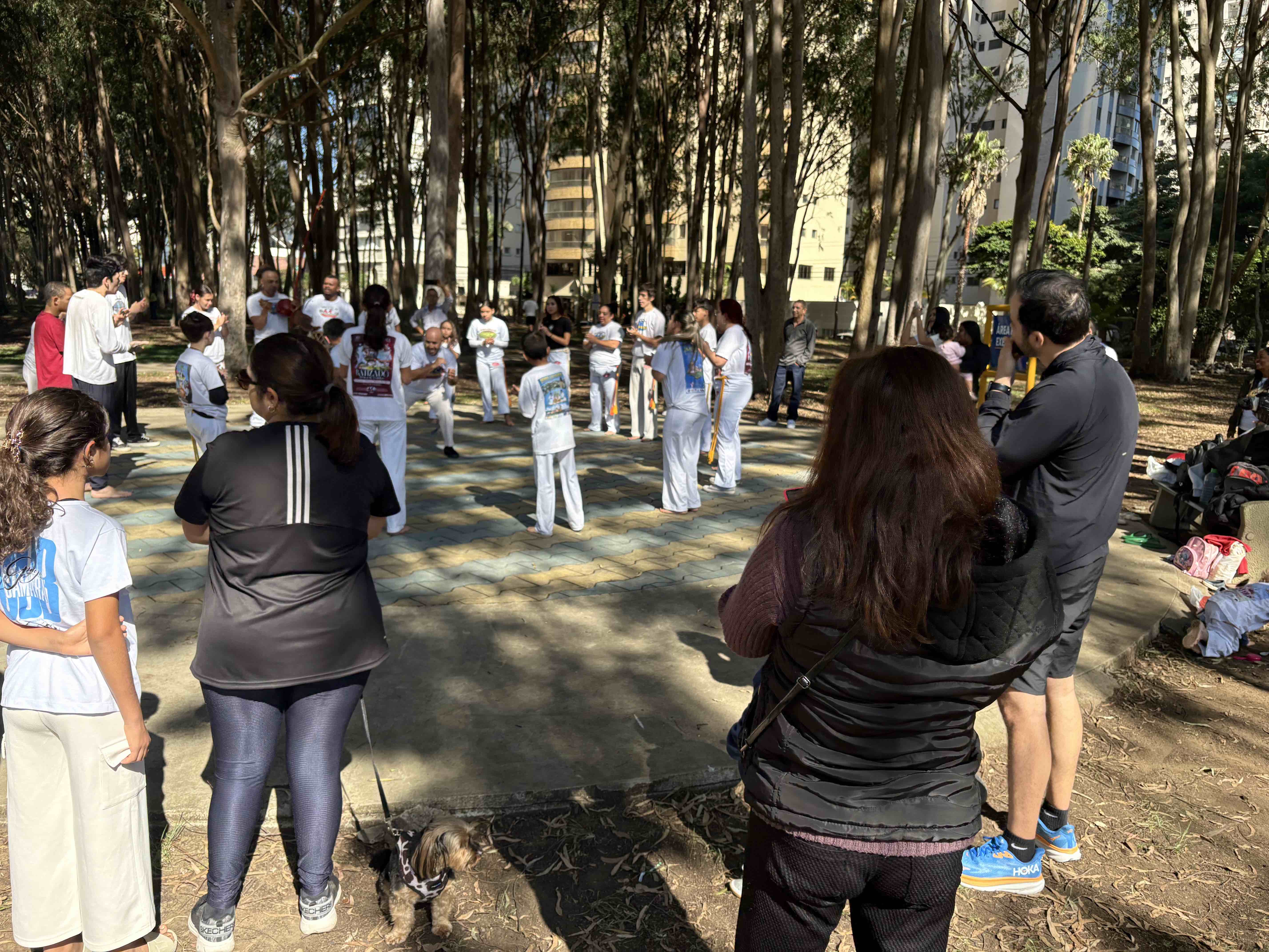 Capoeira e convivência na cidade