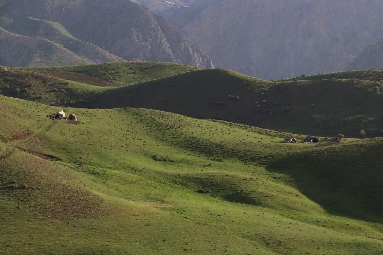 Ano Internacional 2026 – ONU