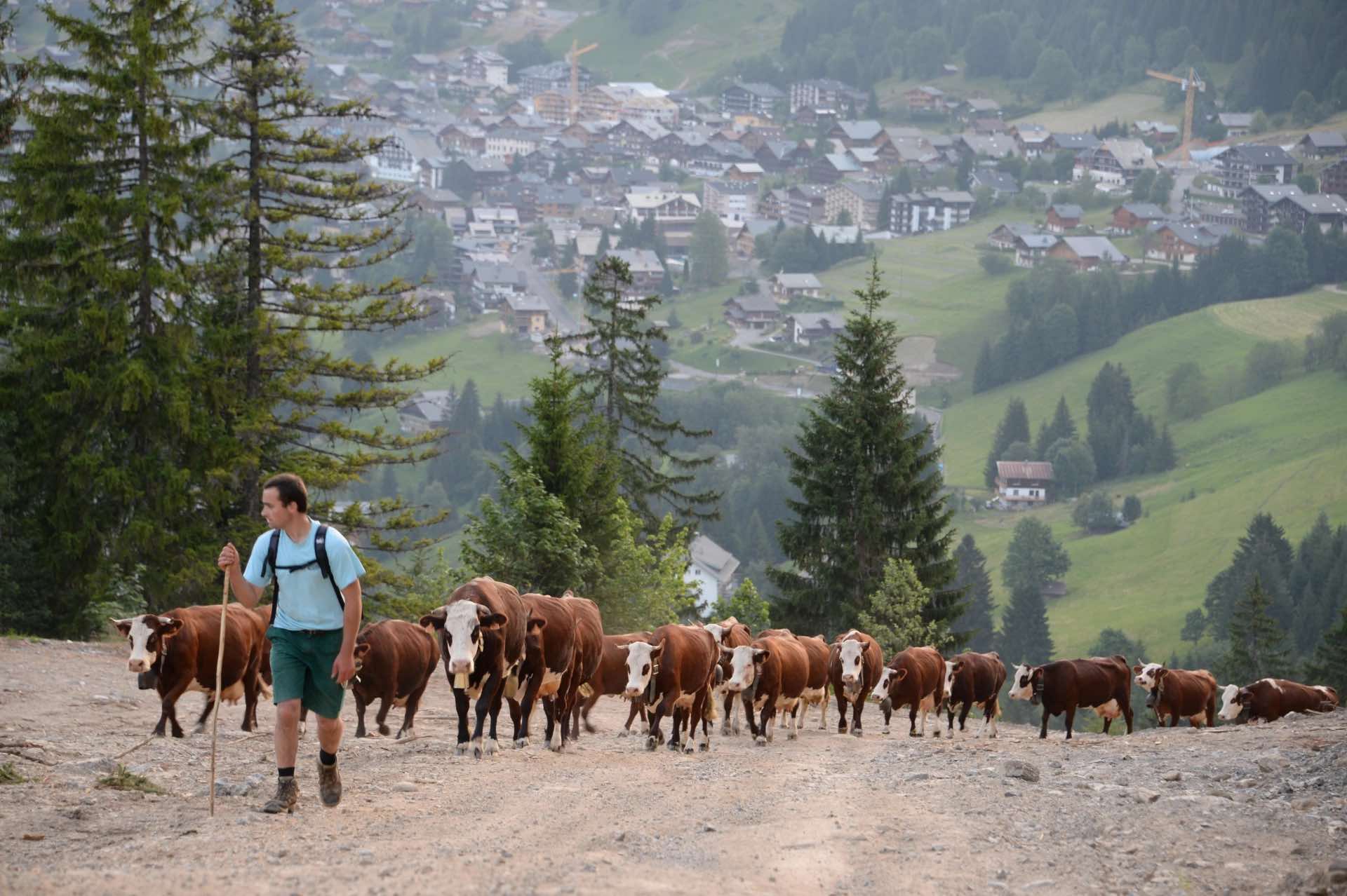 Ano Internacional 2026 – ONU