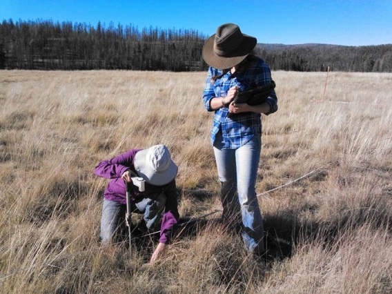 Ano Internacional 2026 – ONU