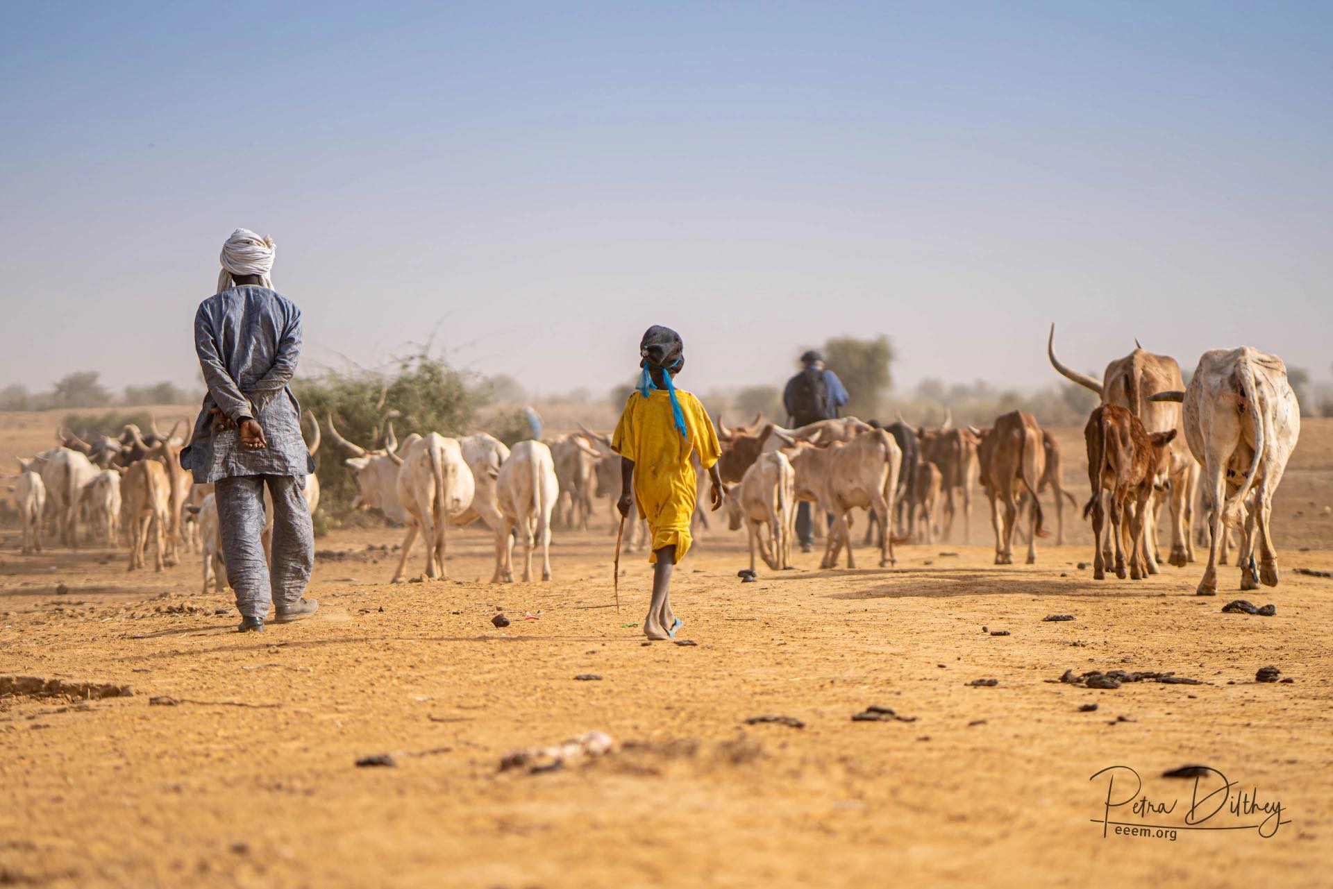 Ano Internacional 2026 – ONU